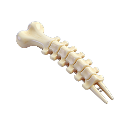 3D Spine Bone Icon - Anatomical Vertebrae Illustration