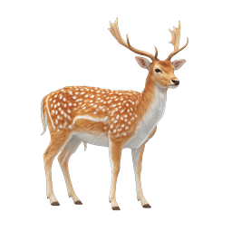 Realistic Spotted Deer Icon with Antlers