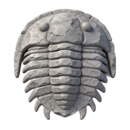 Stone Trilobite Fossil 3D Icon | Prehistoric Marine Creature