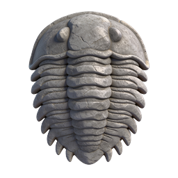 Stone Trilobite Fossil Icon - Prehistoric Marine Life