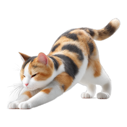 Stretching Cat Icon - Realistic Calico Feline Illustration