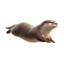 Swimming Otter Realistic Wildlife Icon