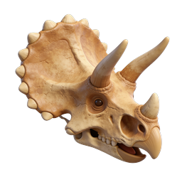 Triceratops Skull Icon | Realistic 3D Dinosaur Fossil