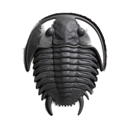Trilobite Fossil Stone Icon - Prehistoric 3D Render