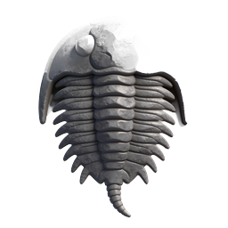 Trilobite Fossil 3D Icon | Realistic Stone Relief