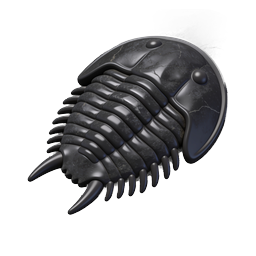 Icona fossile di trilobite | Creatura marina preistorica realistica