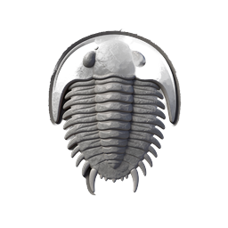 Ícone de escultura em pedra de fóssil de trilobita | Paleontologia 3D