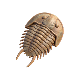 Realistic Trilobite Fossil 3D Icon - Ancient Marine Fossil