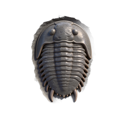 Trilobite Fossil Icon | Prehistoric Marine Arthropod 3D