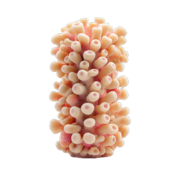 Tube Coral Reef Cluster - 3D Marine Life Icon