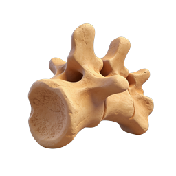 Realistic Vertebra Bone 3D Icon for Medical Use