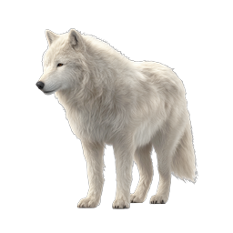 Realistic White Arctic Wolf Icon - Wildlife Illustration
