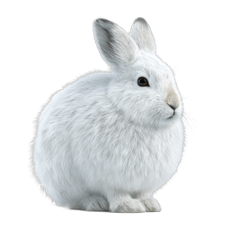 White Bunny Rabbit Realistic 3D Icon | Cute Easter Animal