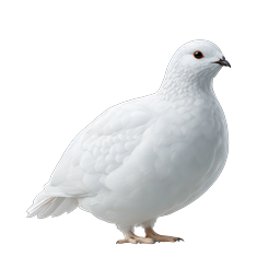 White Dove Bird Icon - Realistic Nature Illustration