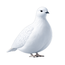 White Dove Bird Icon - Realistic 3D Render