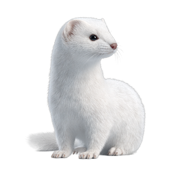 White Ferret Pet Icon - Realistic Animal Illustration