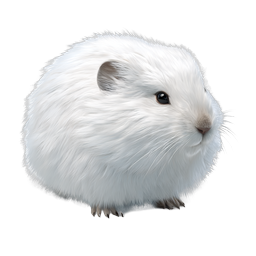 Fluffy White Guinea Pig Realistic Pet Icon