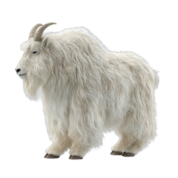 Realistic White Mountain Goat Icon | Wildlife Animal Illustration