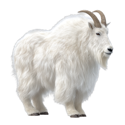 White Mountain Goat Realistic Icon - Wildlife & Nature