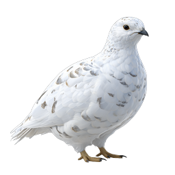White Ptarmigan Bird Realistic 3D Icon | Winter Wildlife