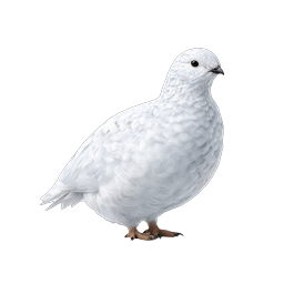 White Ptarmigan Bird Realistic Wildlife Icon