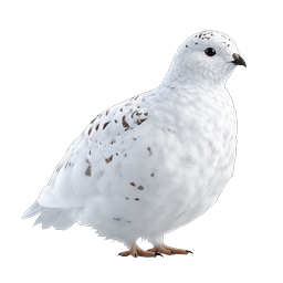 White Ptarmigan Bird Icon - Realistic Arctic Wildlife