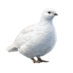 White Ptarmigan Bird Realistic Icon - Arctic Wildlife