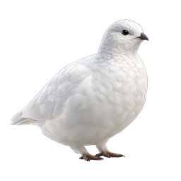 White Ptarmigan Bird Realistic Nature Icon