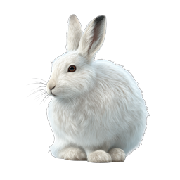 Realistic White Rabbit Icon - Adorable Bunny Illustration