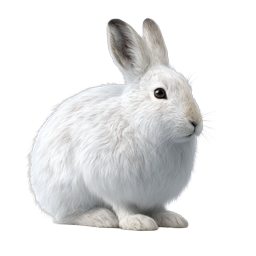 Realistic White Rabbit Icon - Cute Bunny Illustration