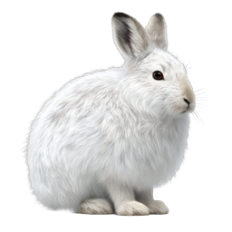 Weißes Kaninchen Icon - Realistische flauschige Hasen-Illustration