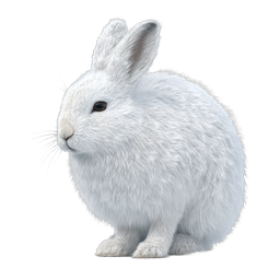 Realistic White Rabbit Icon - Detailed Bunny Illustration