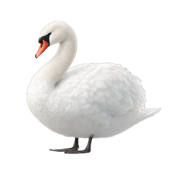 Graceful White Swan Realistic 3D Icon