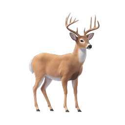 White-Tailed Deer Buck 3D Icon | Wildlife Illustration