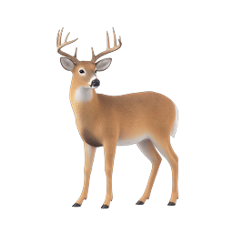 White-Tailed Deer Buck Wildlife 3D Icon