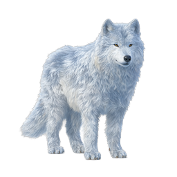 Realistic White Wolf Icon - Majestic Wildlife 3D Illustration