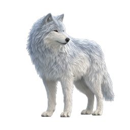 Realistic White Wolf Icon - Arctic Wildlife Animal