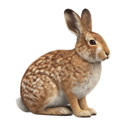 Realistic Wild Brown Rabbit Sitting Profile Icon