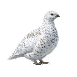 Winter Ptarmigan Bird Realistic Nature Icon