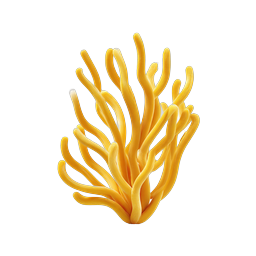 Yellow Coral Icon - Realistic Marine Life Graphic