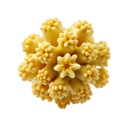 Yellow Flower Cluster Icon - 3D Realistic Botanical