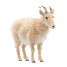 Young Goat Realistic Animal Icon - Fluffy Kid with Horns